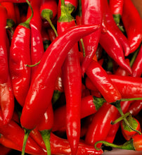 Load image into Gallery viewer, Chilli long cayenne hot