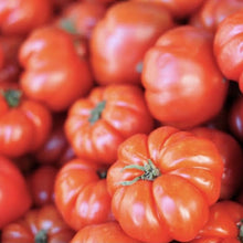 Load image into Gallery viewer, Tomato beefsteak